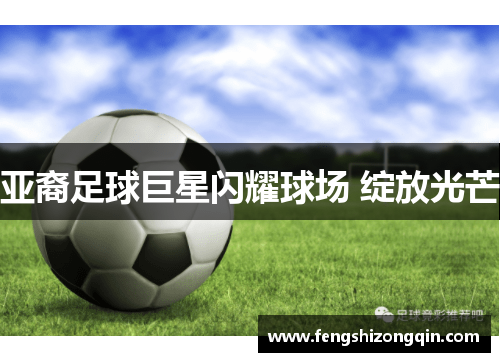 亚裔足球巨星闪耀球场 绽放光芒
