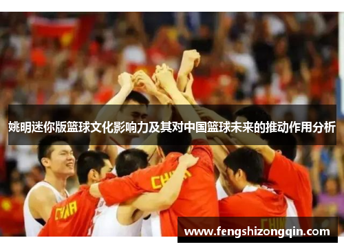 姚明迷你版篮球文化影响力及其对中国篮球未来的推动作用分析