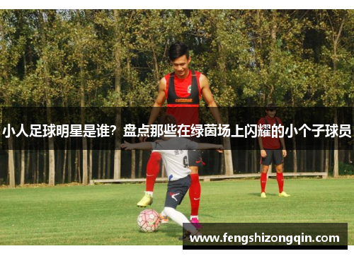 小人足球明星是谁？盘点那些在绿茵场上闪耀的小个子球员
