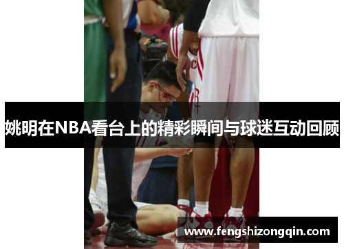 姚明在NBA看台上的精彩瞬间与球迷互动回顾