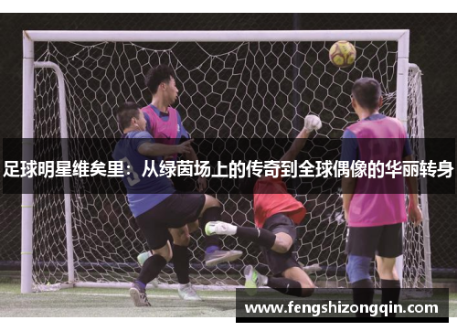 足球明星维矣里：从绿茵场上的传奇到全球偶像的华丽转身